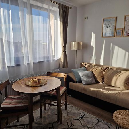 Craitelor Boutique Airport Apartment Otopeni Buitenkant foto