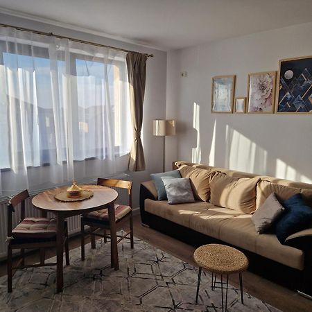 Craitelor Boutique Airport Apartment Otopeni Buitenkant foto